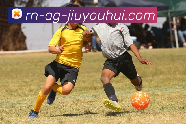 AG九游会官网发展历程